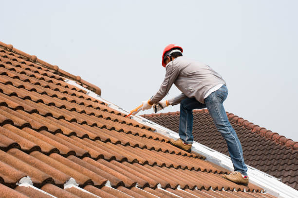 Best Roof Ventilation Installation  in Mlstadt, IL